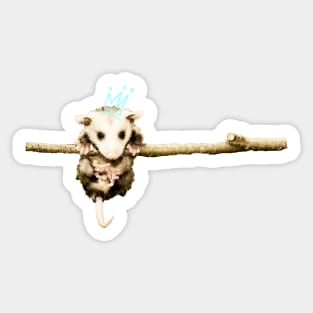 possum king Sticker